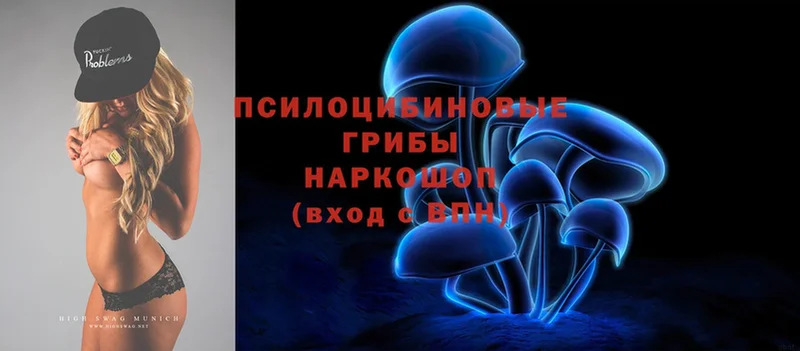 ОМГ ОМГ ссылка  Абинск  Галлюциногенные грибы Psilocybine cubensis 